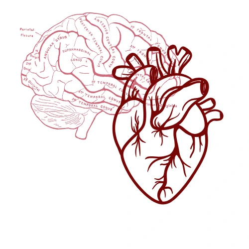 Neurology and Cardiology